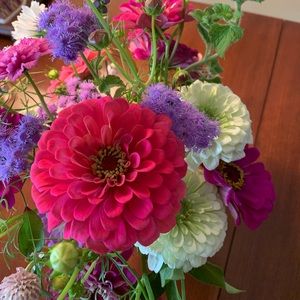 Meet your Posher, Lenora